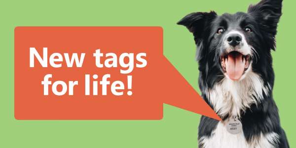Lifetime dog registration tags are on their way!