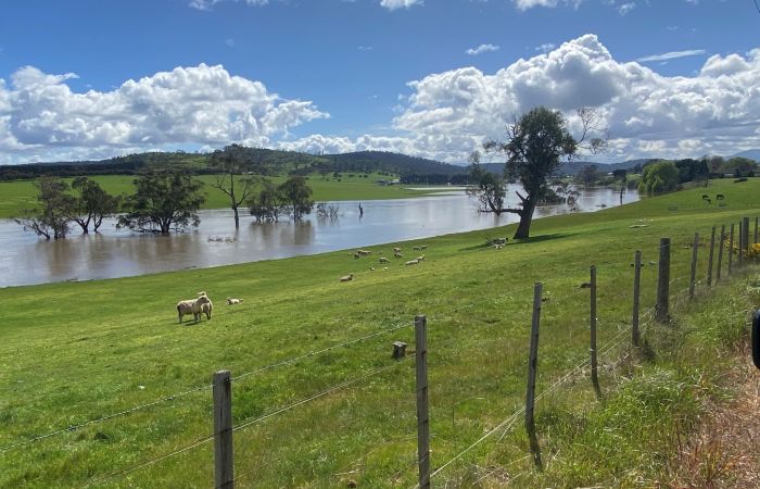 2022 floods: Meander River towards Hadspen