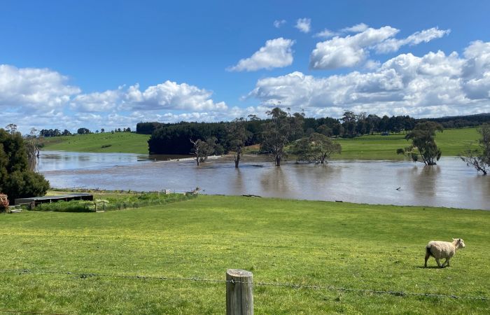 2022 floods: Selbourne bridge under water