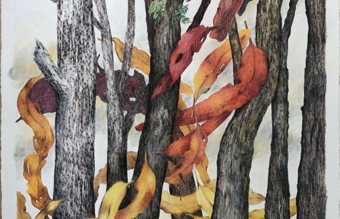 Blakie Lee Eucalyptus Response to Fires Regenerative and Resilient 2025