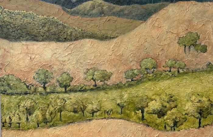 Cook Anne Meander Light