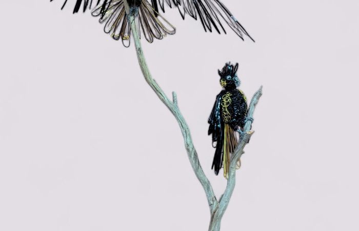 Couzner Amanda The Valley of the Birds