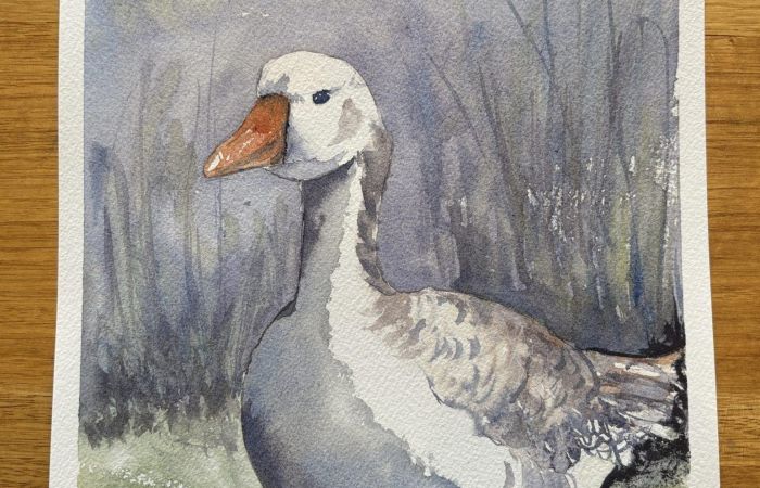 Cunningham Anita Meander River Goose