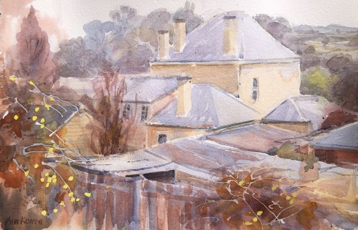 Kearon Ann The old plough inn