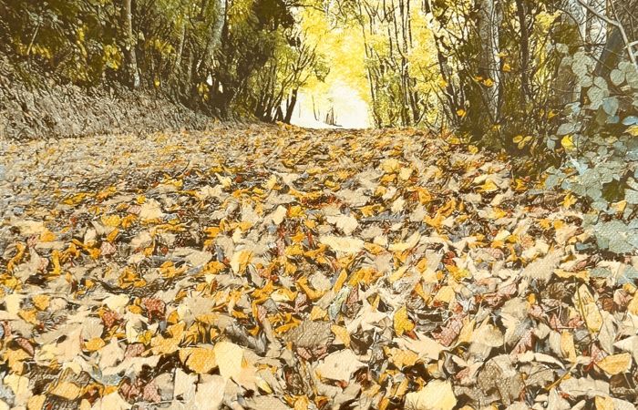 Klekociuk Richard AUTUMN QUILT DELORAINE