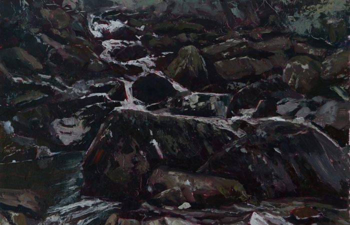 Meader Darren Cascades in the Myrtle Forest Meander River