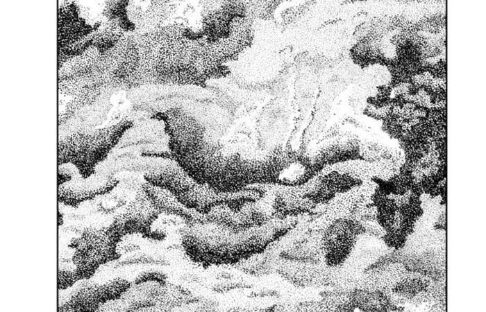 Penn Bruce Tormented Sky