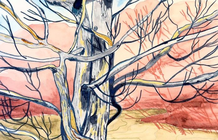 Potvin Summer Sinuous Waters