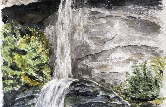 Thrush Michael Split Rock Falls