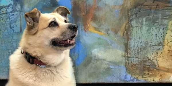 Dogs, art and a giant wombat?  There’s something for everyone at Meander Valley’s Art Award!