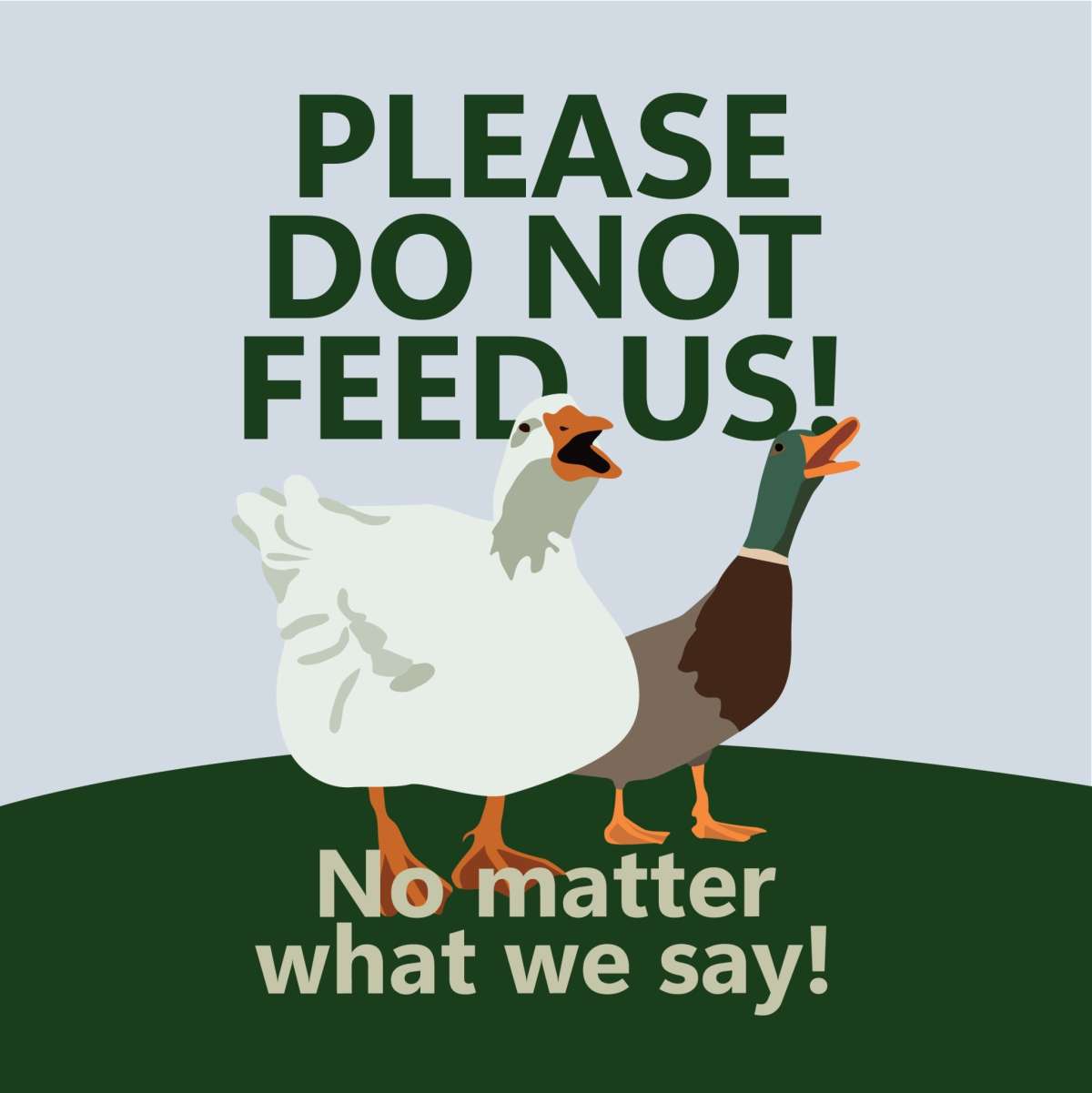 Ducks Geese Management Social Tile