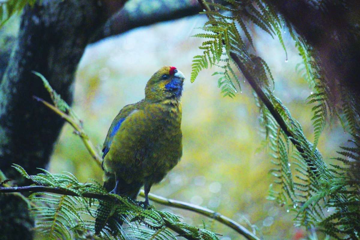 Eleanora Dennis 2025 10 01 202048