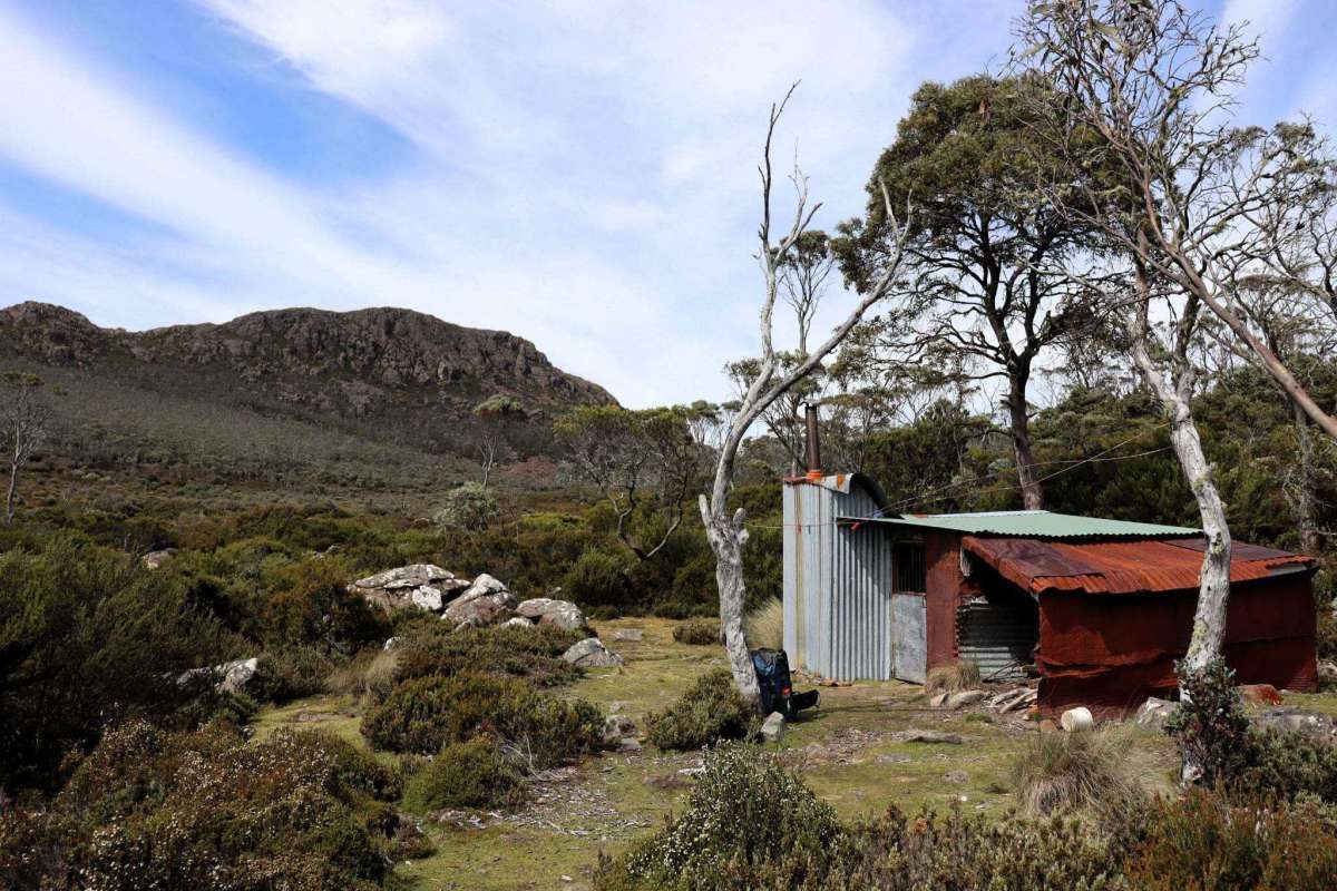 Jarrod Less 2026 02 04 100133