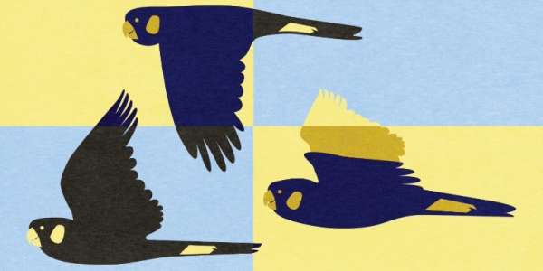 Volunteer Awards and Community Celebration