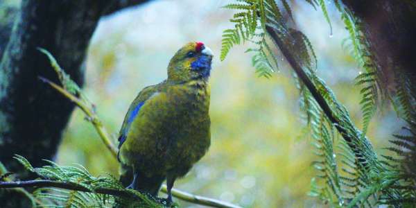 Community Camera Lens - October's Featured Photographer