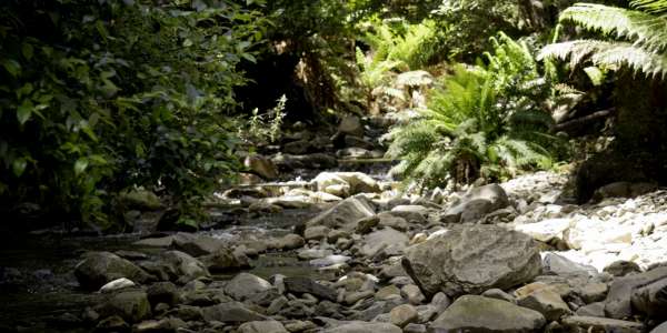 All rec water sites compliant with Recreational Water Quality Guideline requirements - 28 January