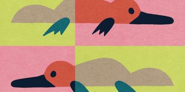 Youth Summer Sessions - What’s in season this January for youth in Meander Valley