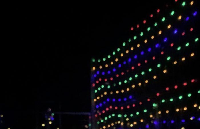 4 Penny Gardner 202398