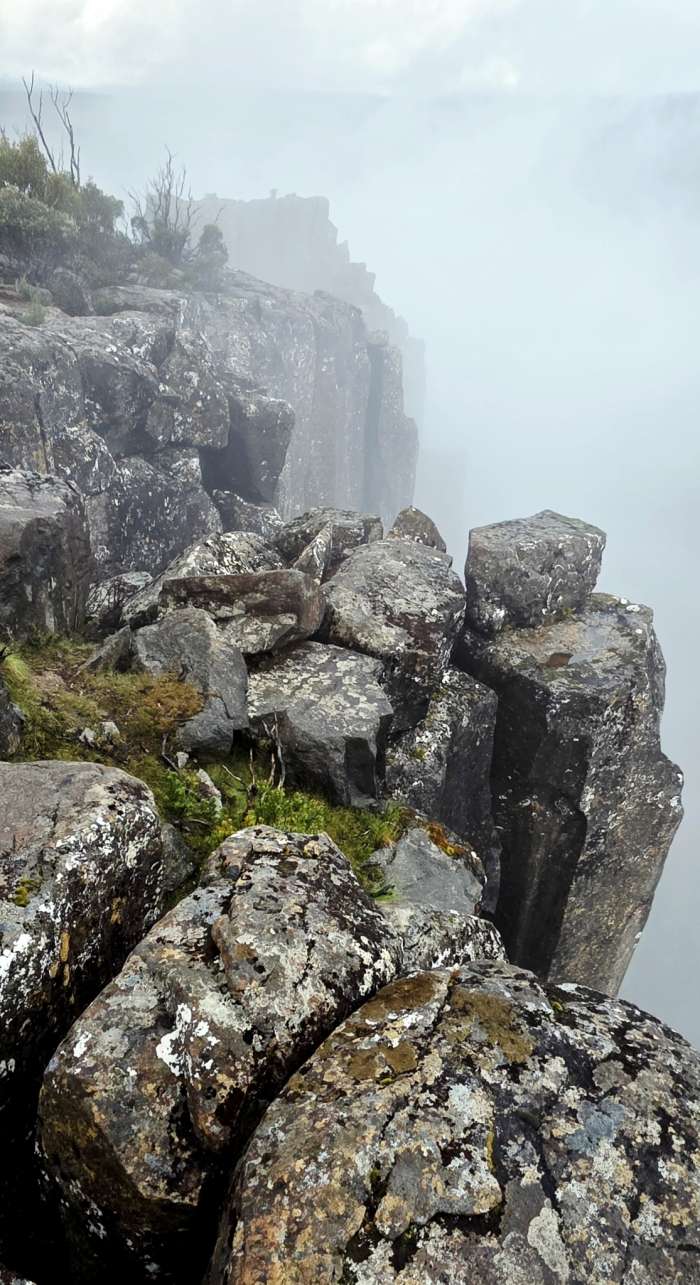 Joy Kachina 2026 03 25 180122